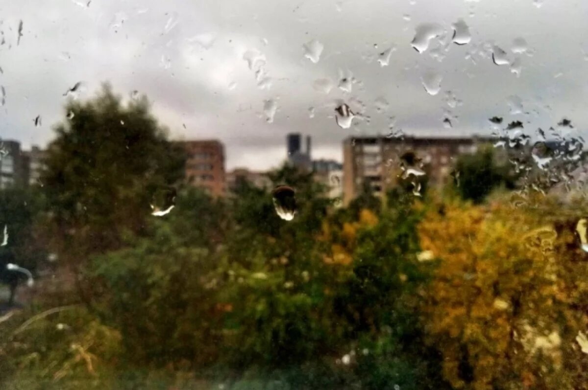    Разрушительная «Кассандра».