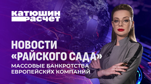 Экономическая драма: Польша и Прибалтика продолжают тратить деньги не на те нужды. Катюшин расчёт