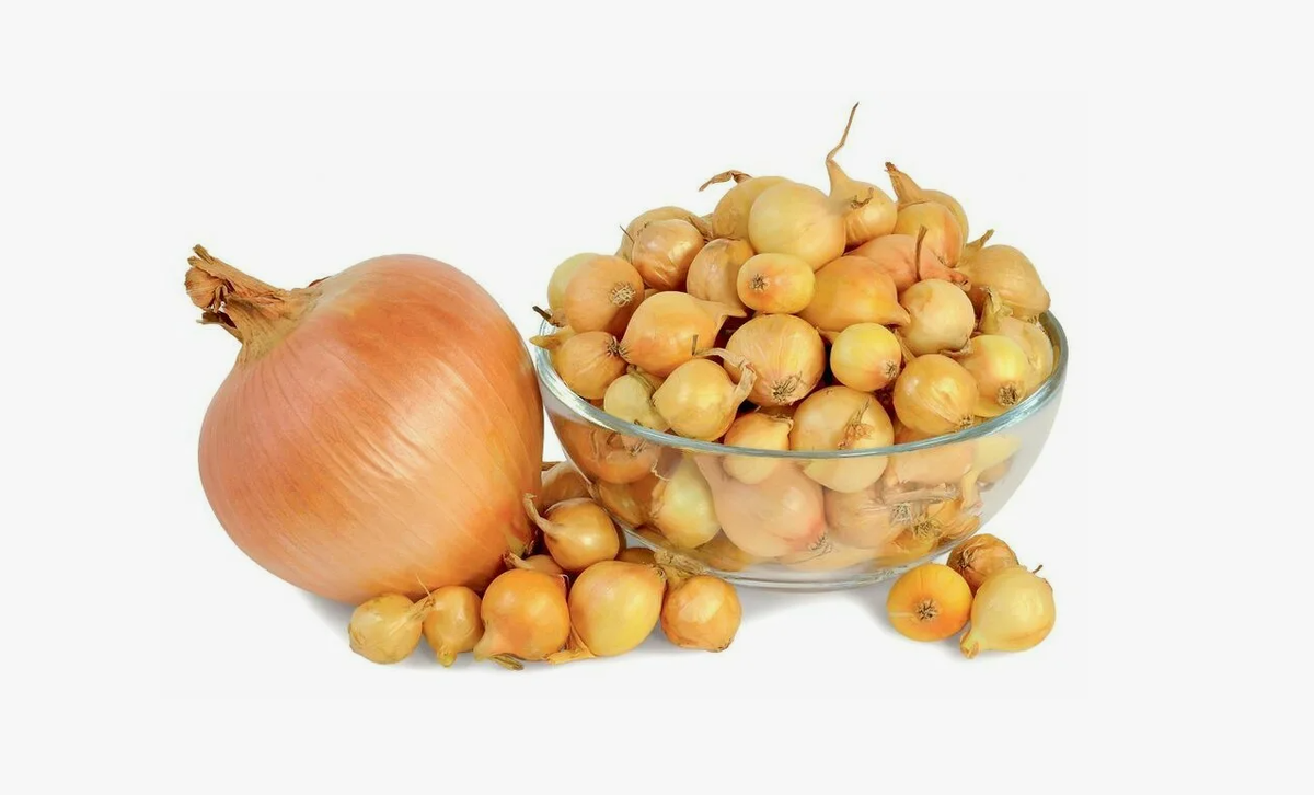 Штутгартер Ризен