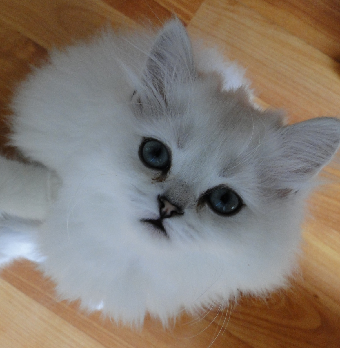 ФОТО ИЗ ЛИЧНОГО АРХИВА