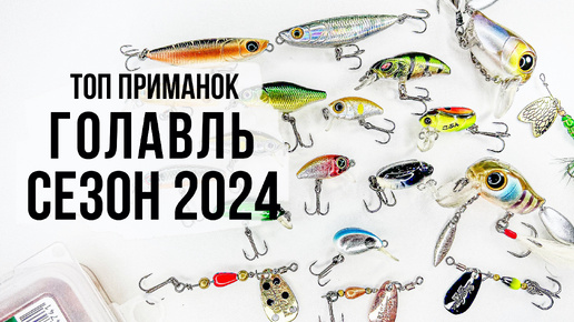 ТОП ПРИМАНОК / ГОЛАВЛЬ / СЕЗОН 2024