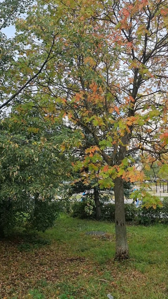 Осень во всей красе