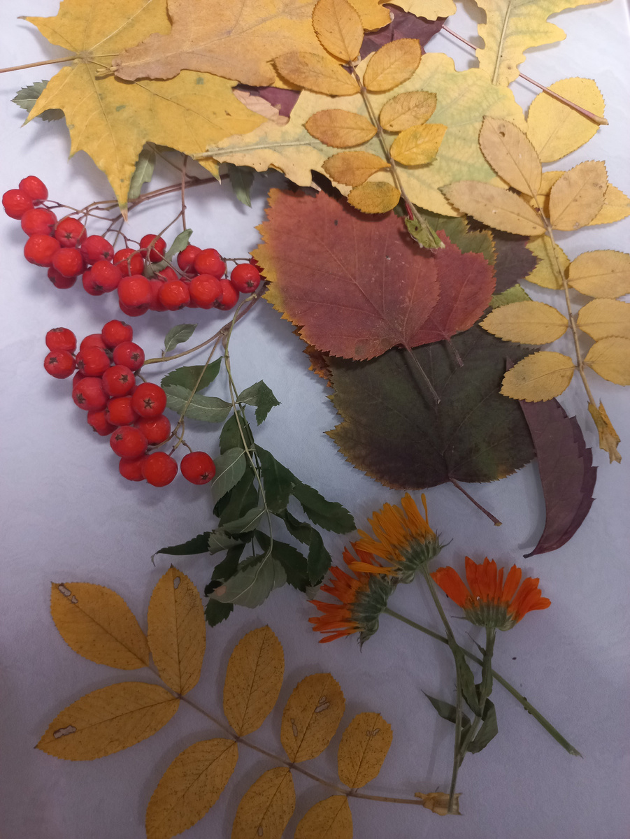 Наши природные материалы (фото автора)