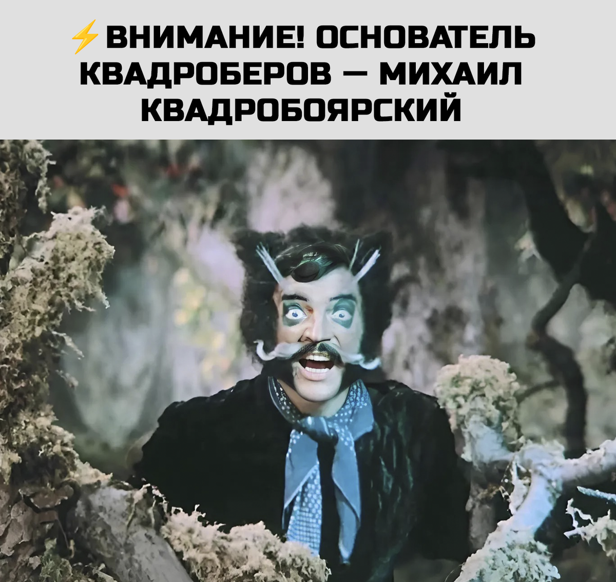 Кошка породы ГОЛОДНАЯ ))) Приколы с котами Мемозг 1554 - YouTube
