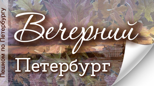 Пешком по осеннему вечернему Петербургу. Нева, Эрмитаж, Дворцовая площадь, Малая Конюшенная, Невский проспект, кот на Большой Морской, дождь