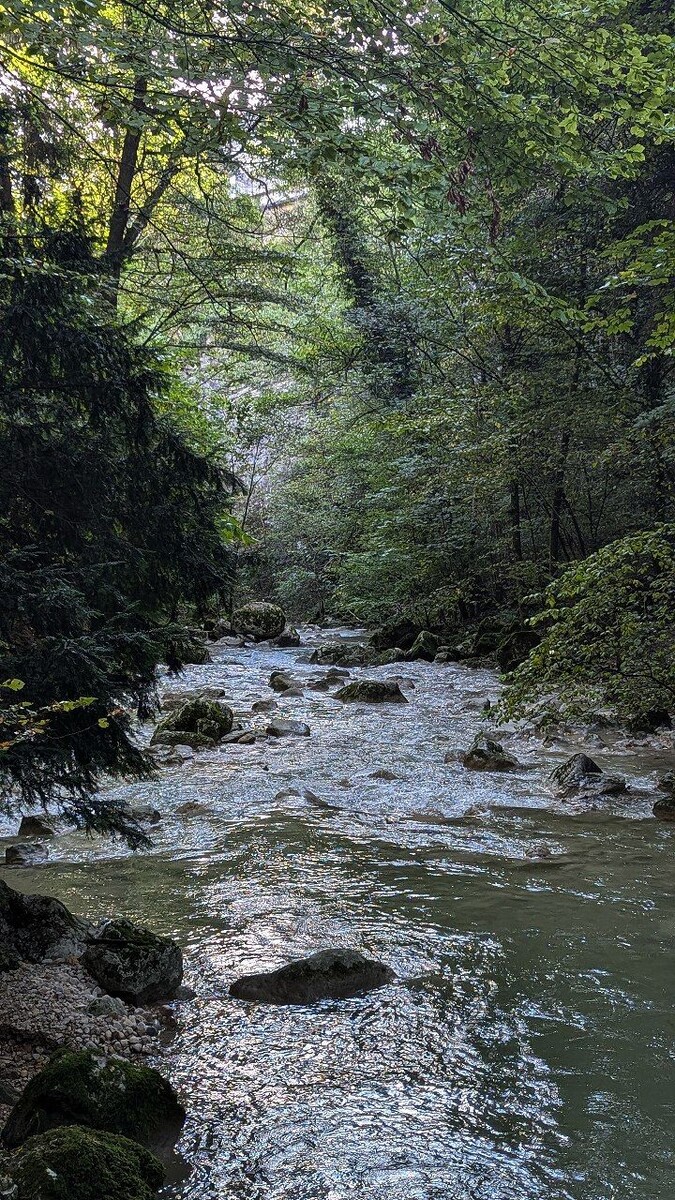 Река Le Seyon в Швейцарии 