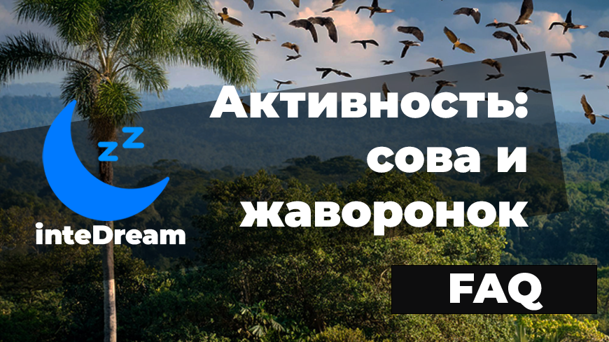 Возможно ли изменить свои биологические часы? Мы попытались разобраться с этим вопросом в данной статье