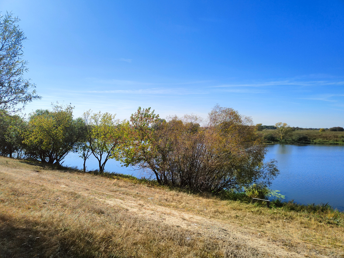 Берег Старицы