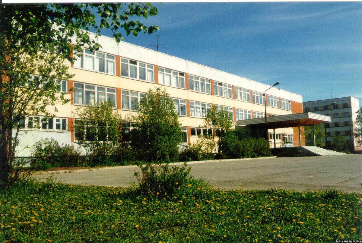 Добрянская школа №3