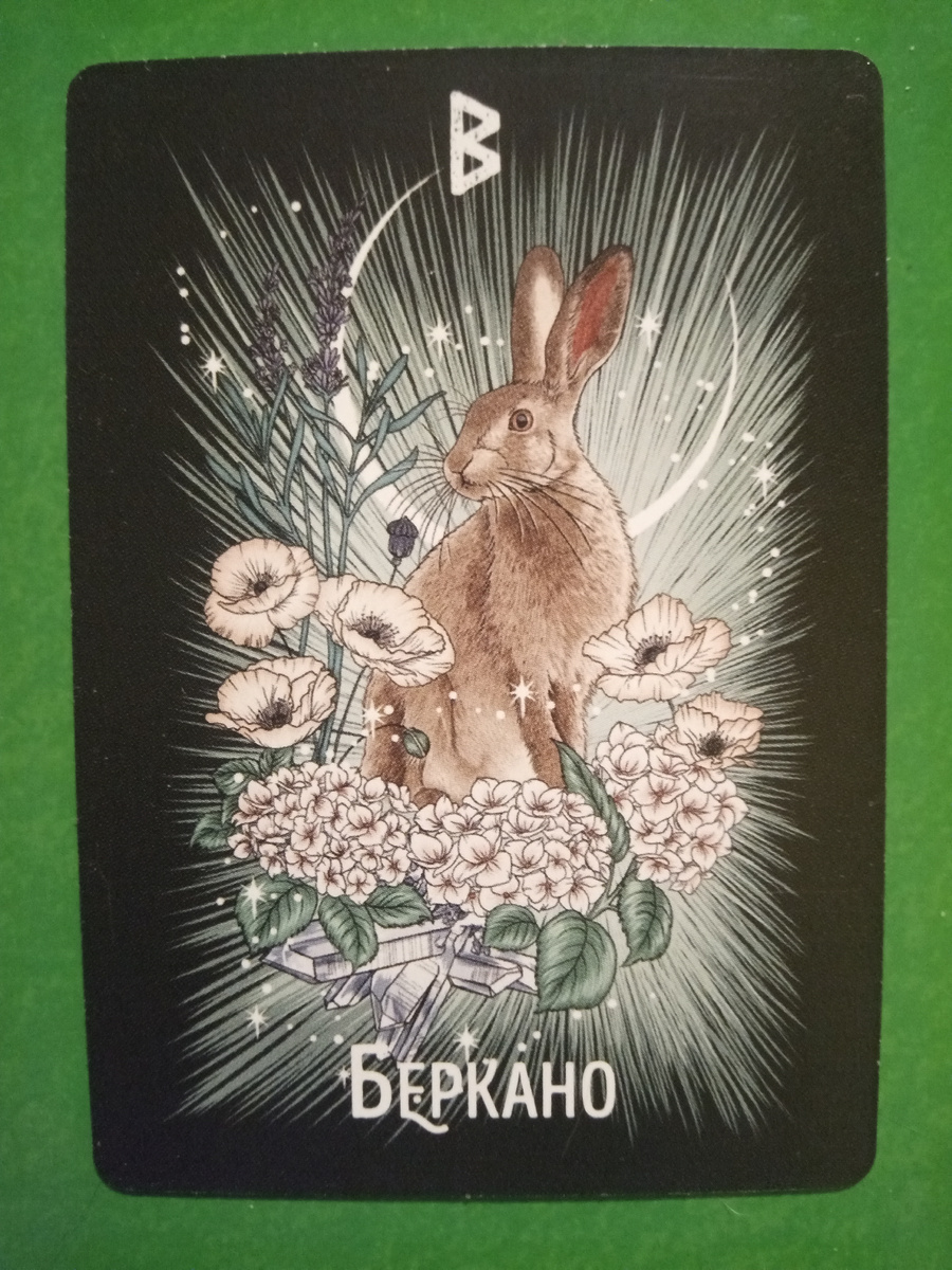 Беркана-Заяц, колода «Фамильяры Ведьмы»