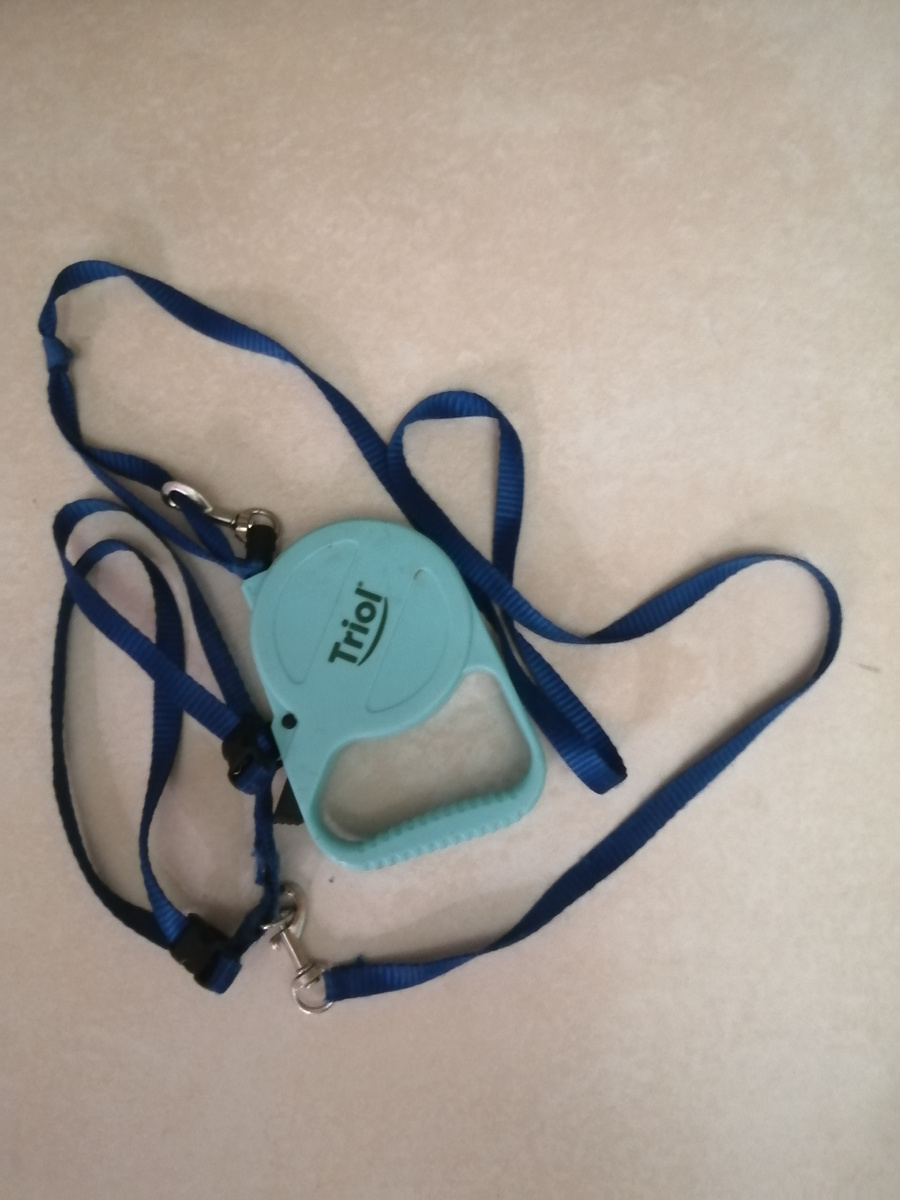 Шлейка и поводок из "Магнит Косметик"