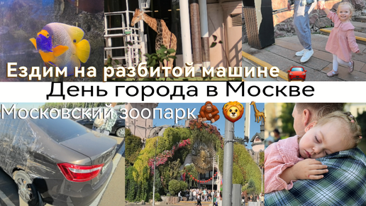 День города в Москве 🎆🎈/Московский зоопарк 🦁🦒/Ездим на разбитой машине 🚘