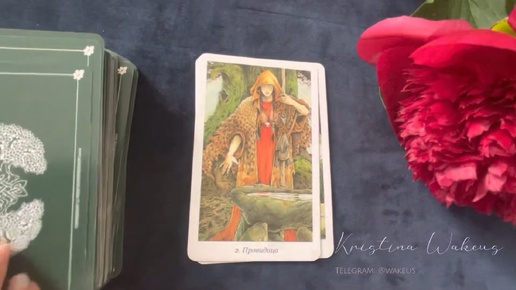 Таро Дикого Леса • The Wild Wood Tarot