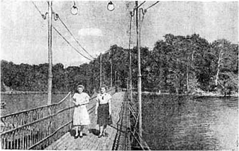 1956 год из книги Никулина Богородицк.