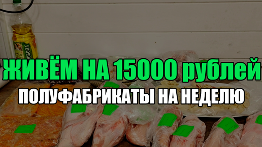 Живём на 15000 в месяц/ Экономная заморозка полуфабрикатов на неделю