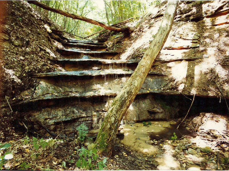 Татарское городище. Фото: http://www.museum.ru/ 