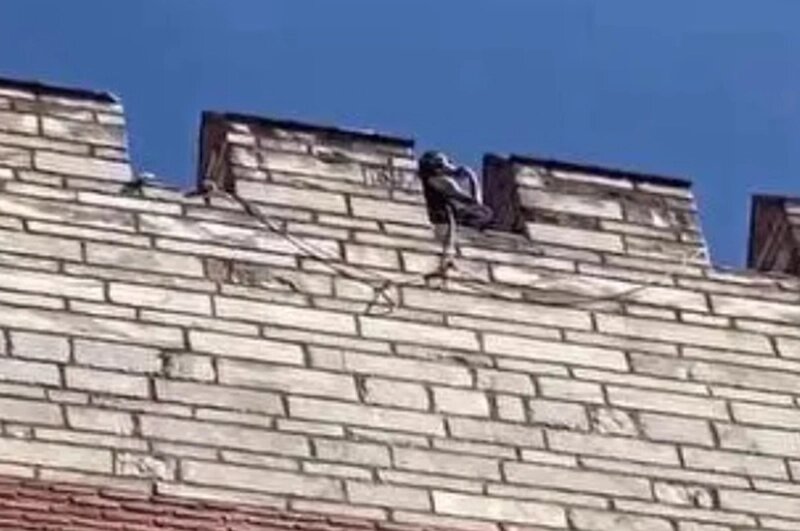    Фото: соцсети