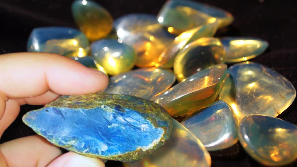 Окаменевшая смола, которая ценится порой дороже золота. Источник: toursdominicana.ru