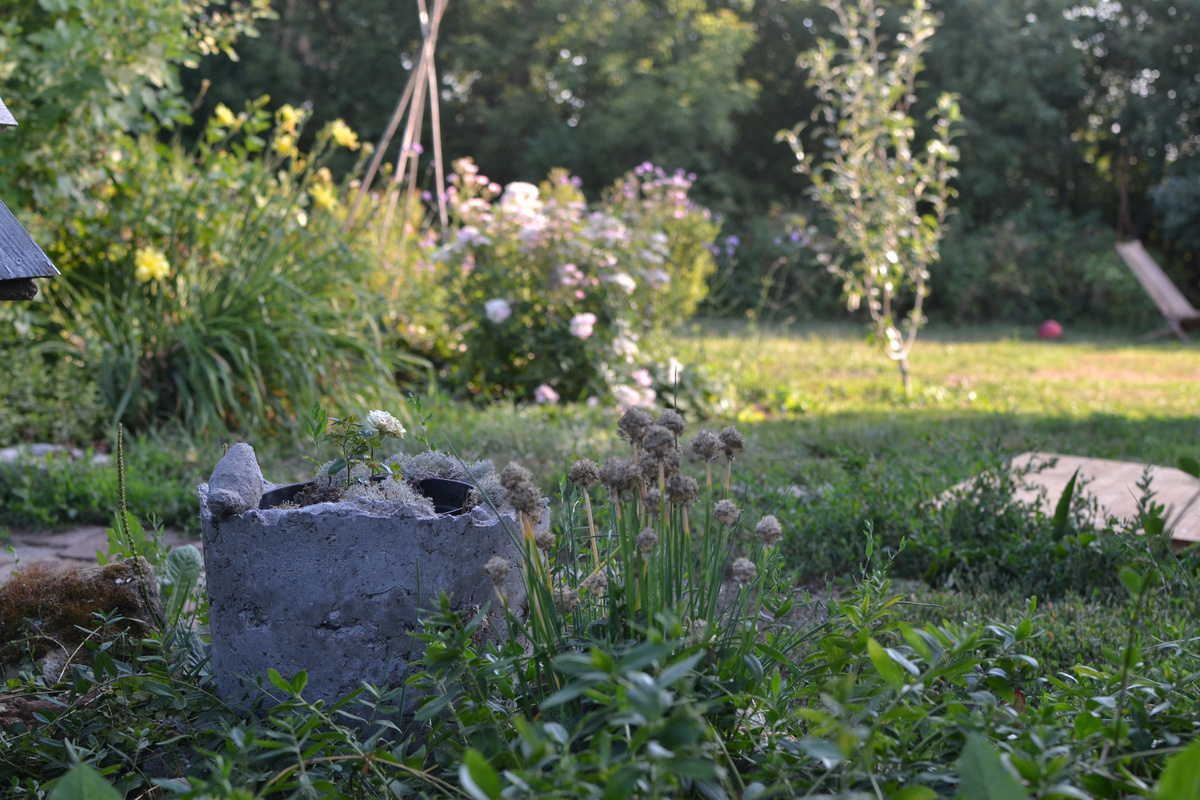 Галерея, листайте