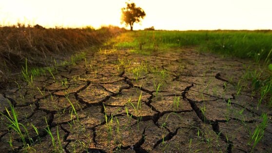    В ООН не исключили появления пустынь в Южной Европе Роман Захаров