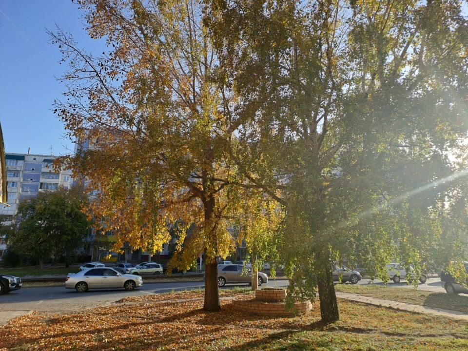    Улица Антона Петрова. Источник: "Толк"