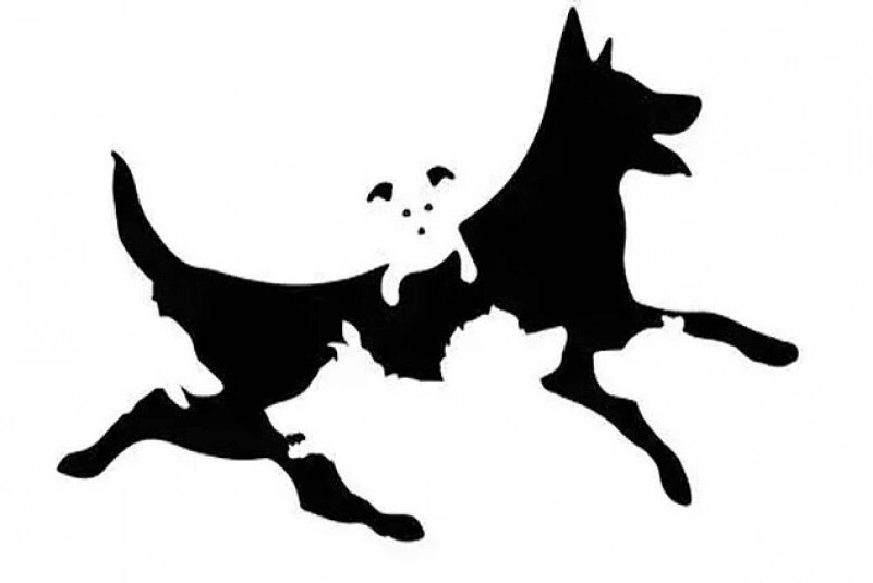 Фото: соцсети