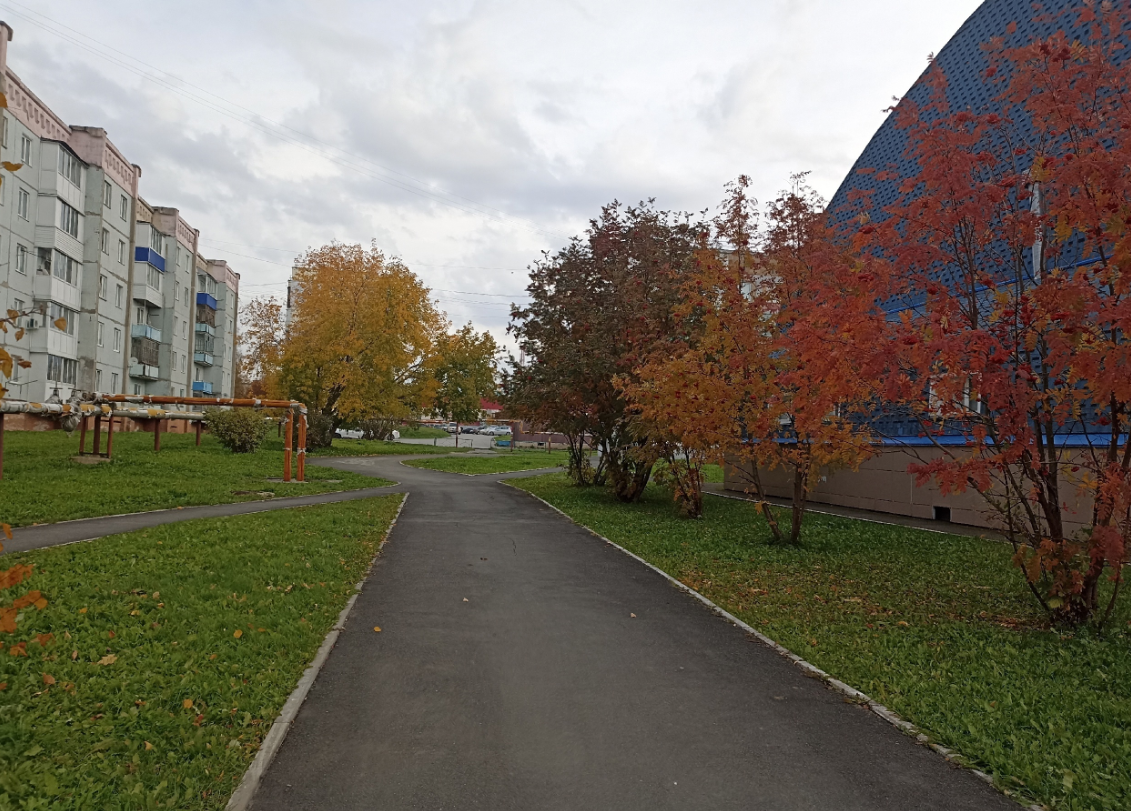 фото автора 