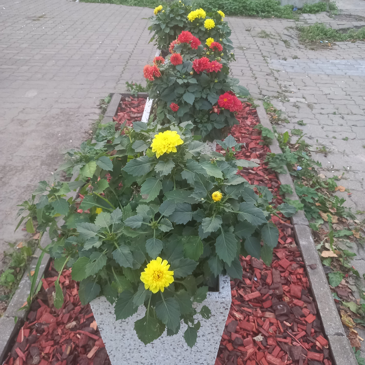 Фото автора канала