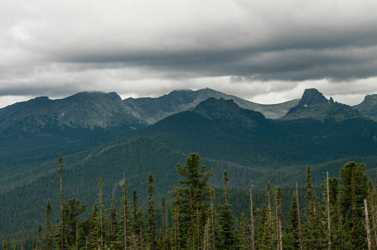   Владимир Корецкий