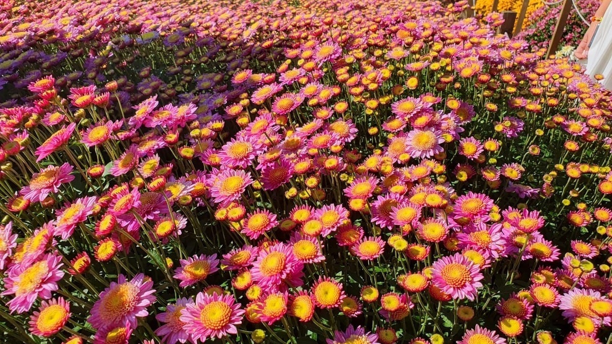     Источник: vostokmedia.com