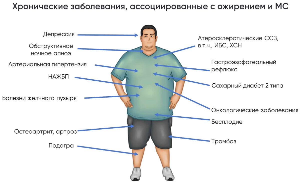 картинка из интернета