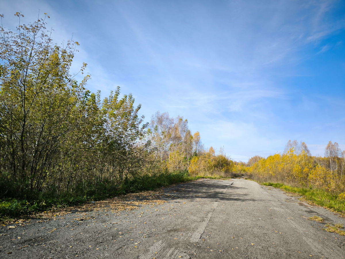 Участок заброшенной дороги до бывшего переезда