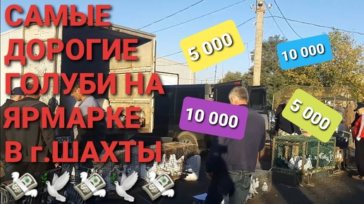 💰💰💰 Самые дорогие голуби на ярмарке в г.Шахты. Птичий рынок 06.10.24. Николаевские голуби.