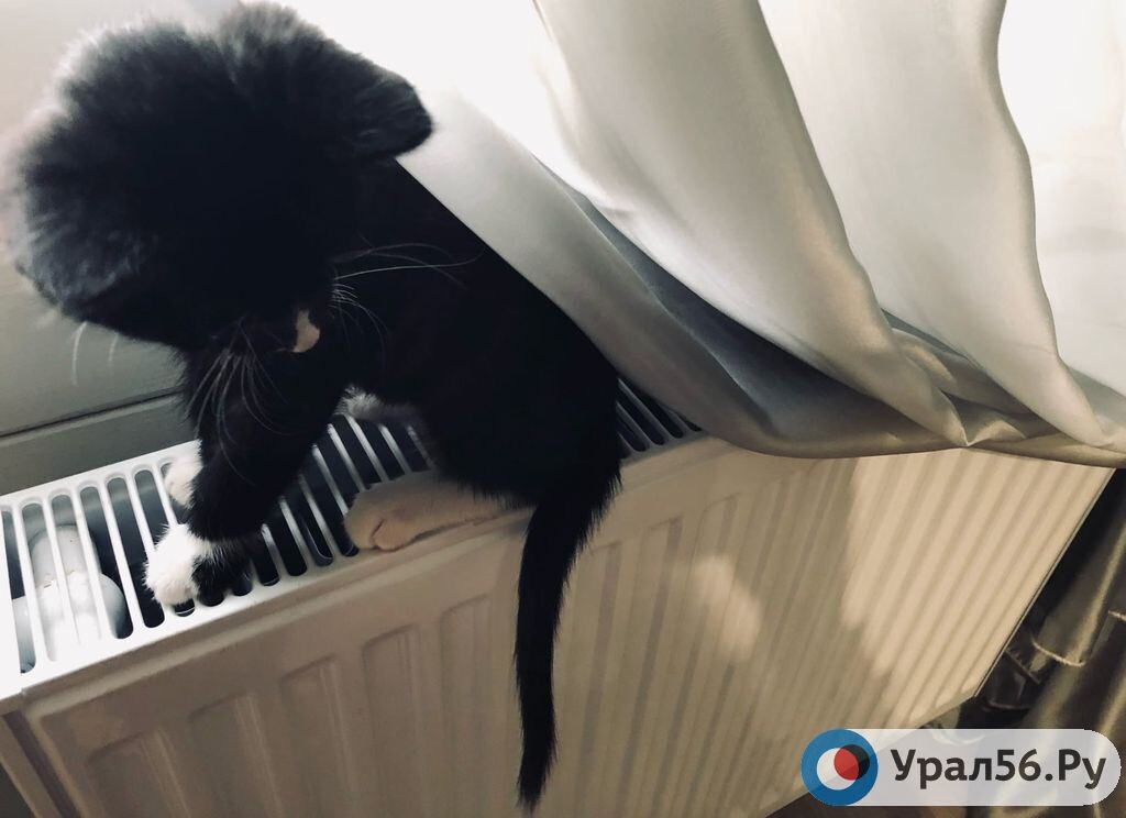 Когда в оренбурге дадут тепло