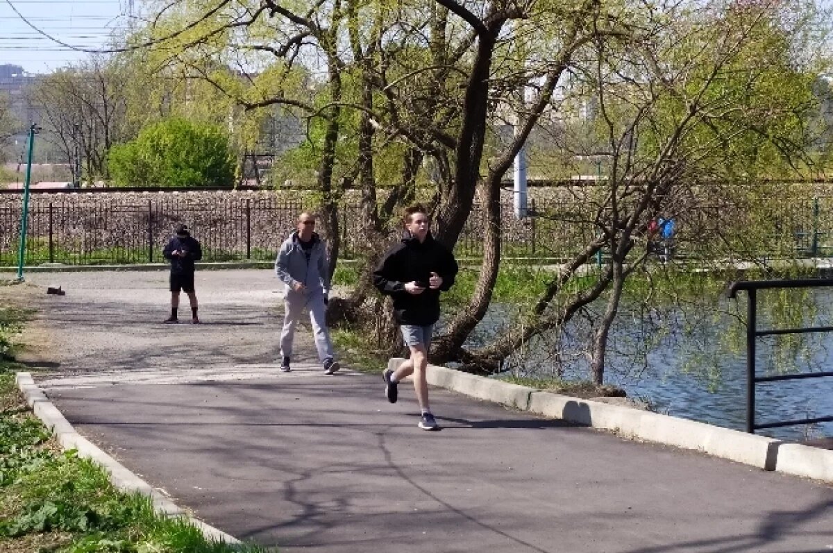    В Томске на Тропах здоровья продлили освещение в вечернее время