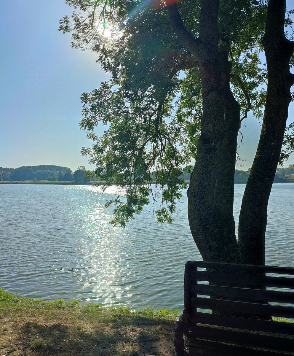 Пруд у замка 