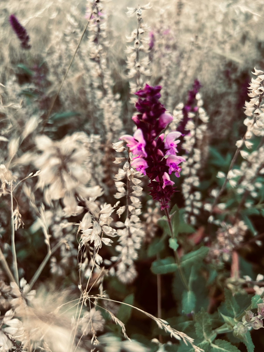 Фотография автора канала.