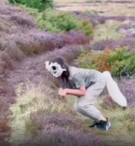 Девочка-квадробер. Скриншот из видео в свободно доступе.