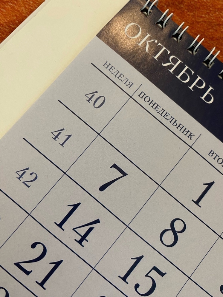     Фото: "МК в Калуге"