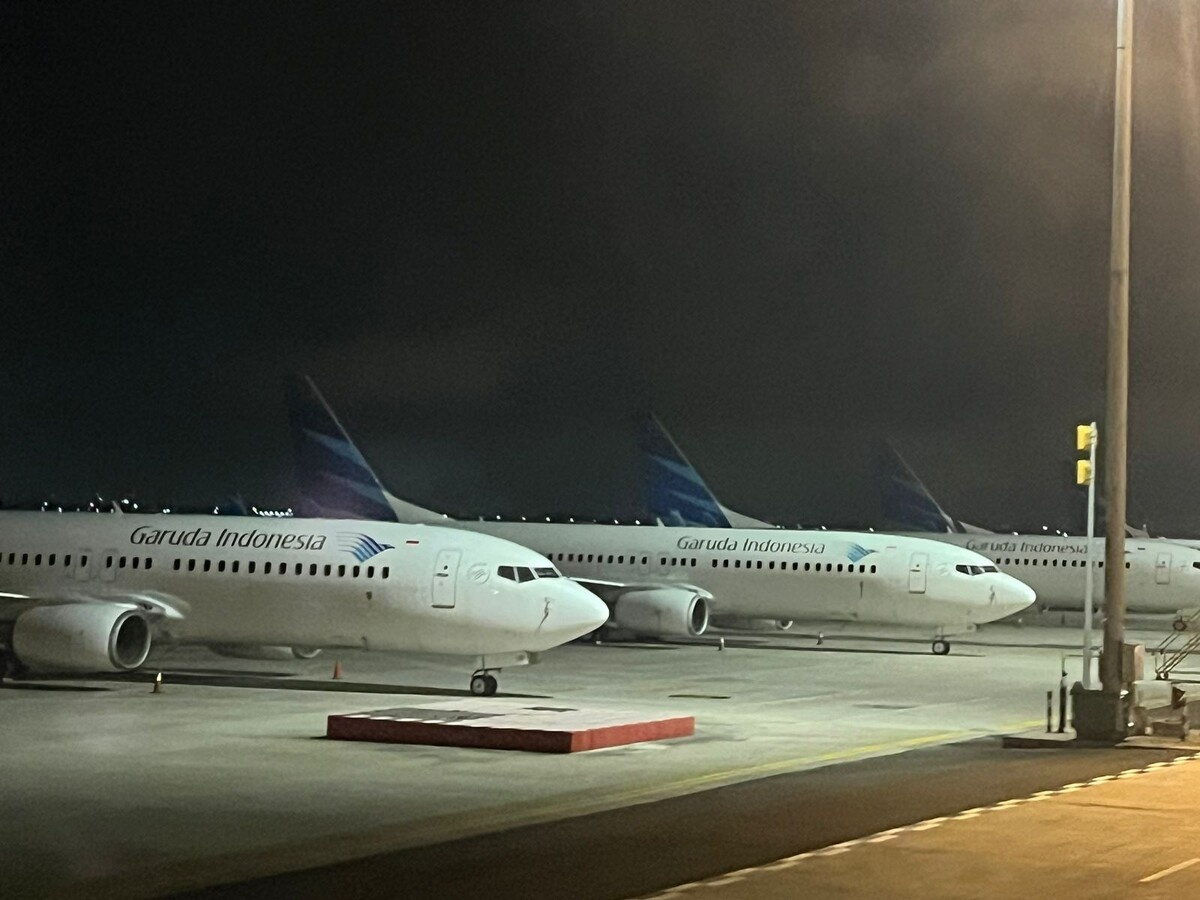 Самолёты главного национального перевозчика страны