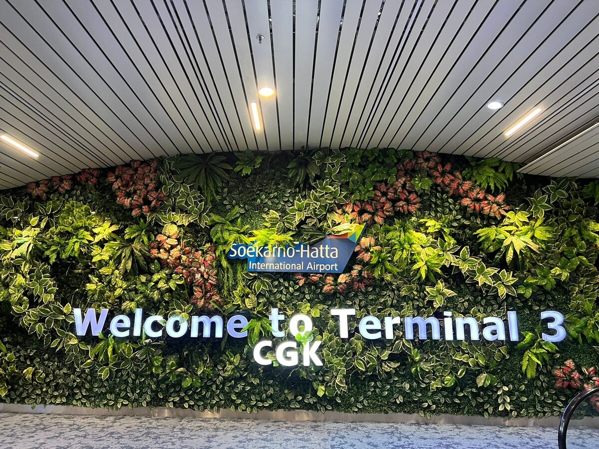 Прилетели в терминал 3