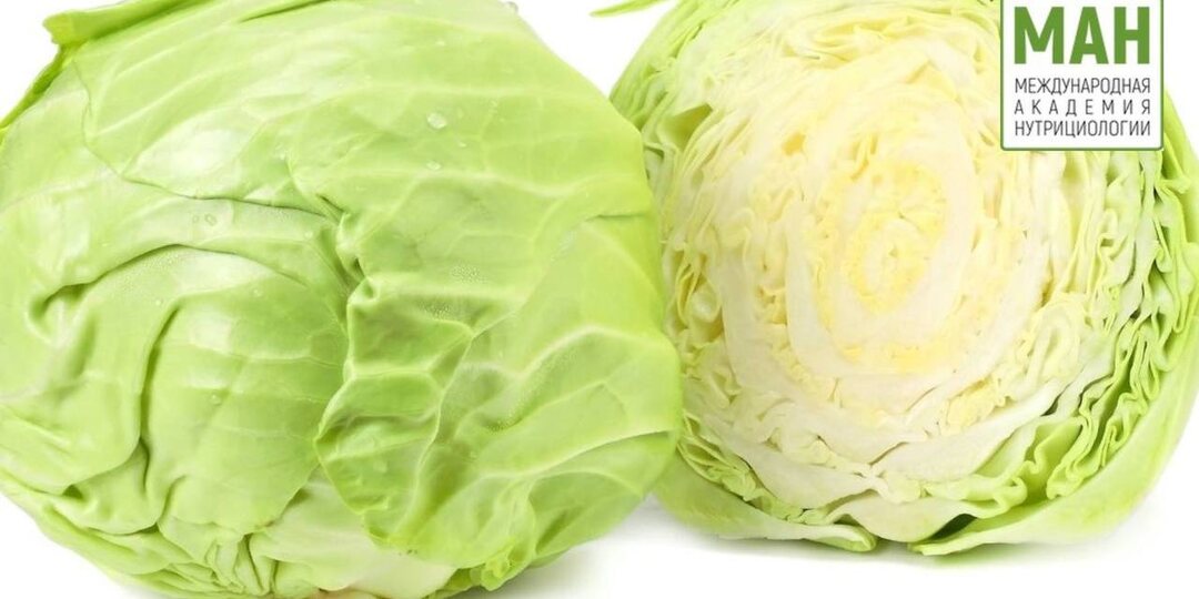 СЕКРЕТЫ ДОЛГОЛЕТИЯ: 15 РУССКИХ ПРОДУКТОВ ДЛЯ ПОДДЕРЖАНИЯ СЕРДЦА И СОСУДОВ