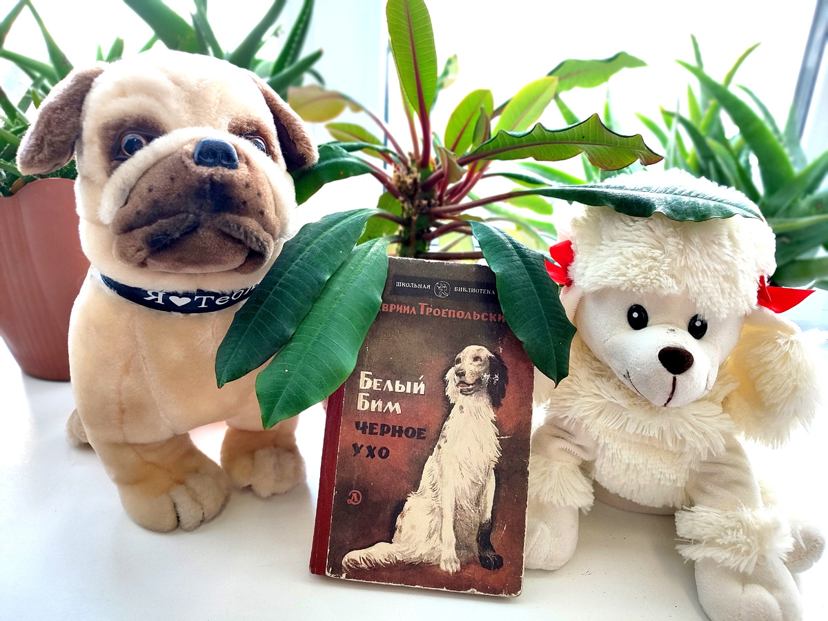 Джек, Бим и Пудя