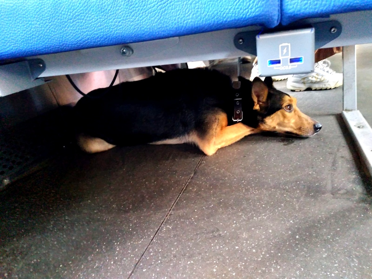 В электричке