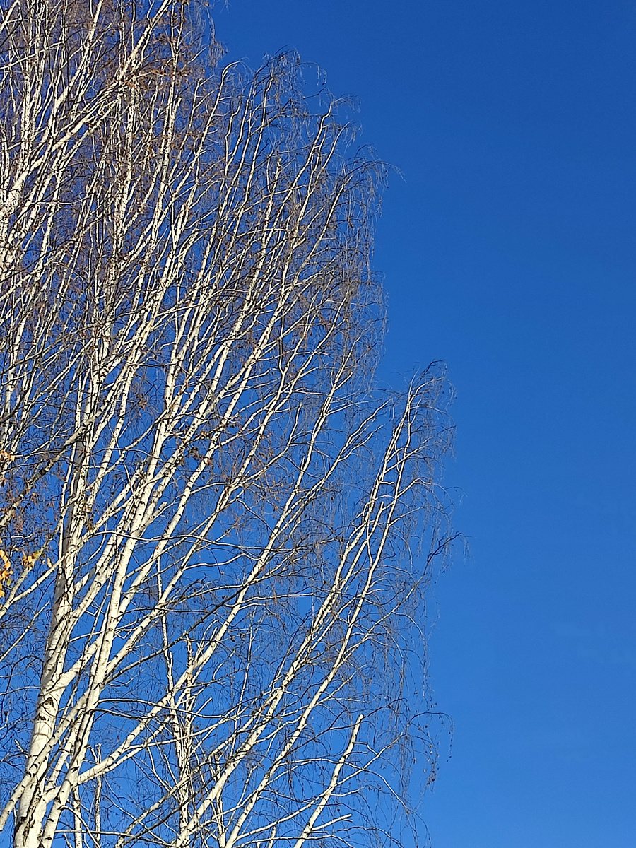 Фото начала октября