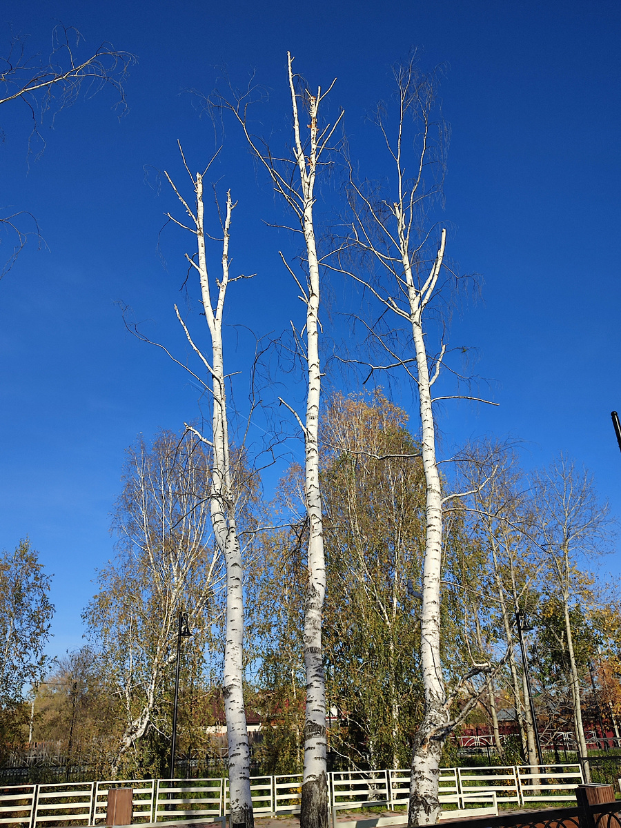 Фото начала октября