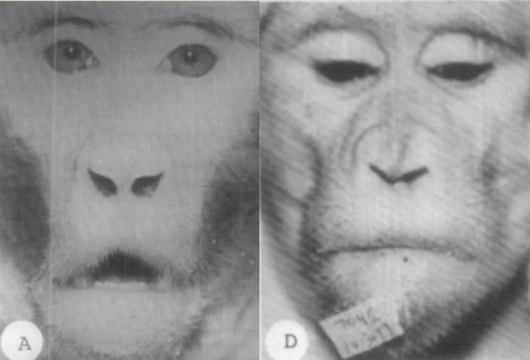 Рис.1: Эксперимент Харвольда.