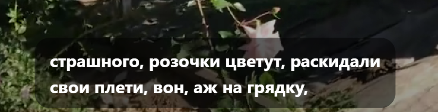 Скрин из видео канала Хочу на Дачу Мари-Эл