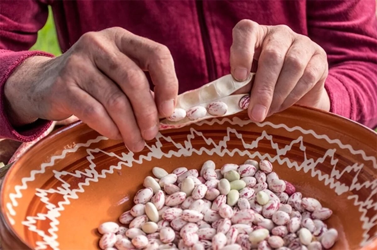    Здоровье в банке.