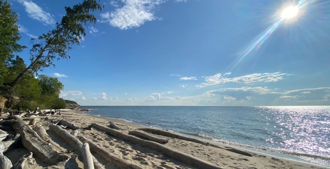    Фото: НИА "Экология"